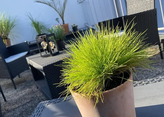 Casa Benedicta Apartment Trier